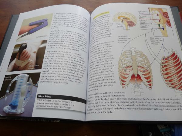 Elementary Anatomy Homeschool Curriculum Review