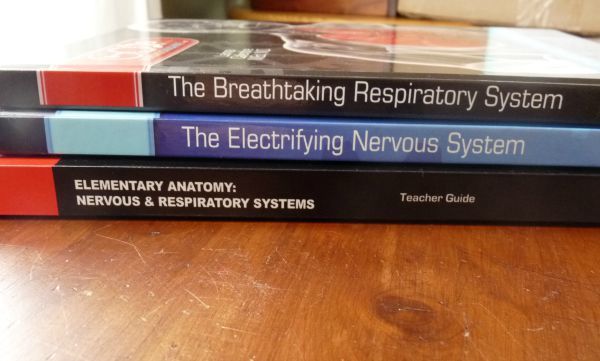 Elementary Anatomy Homeschool Curriculum Review