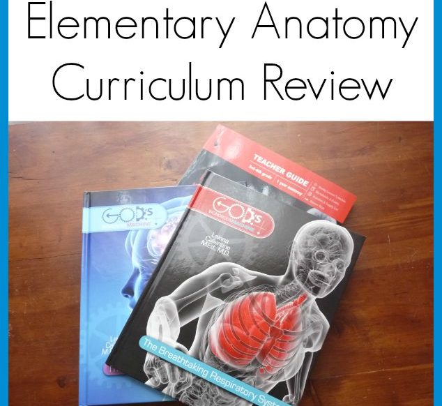 Elementary Anatomy Homeschool Curriculum Review