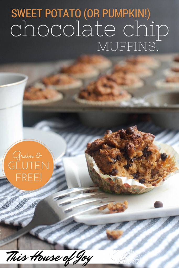 Pumpkin Chocolate Chip Muffins